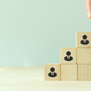 Entry Level Integrity- IMI (online link)