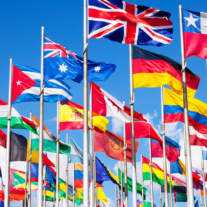 African / International Qualification